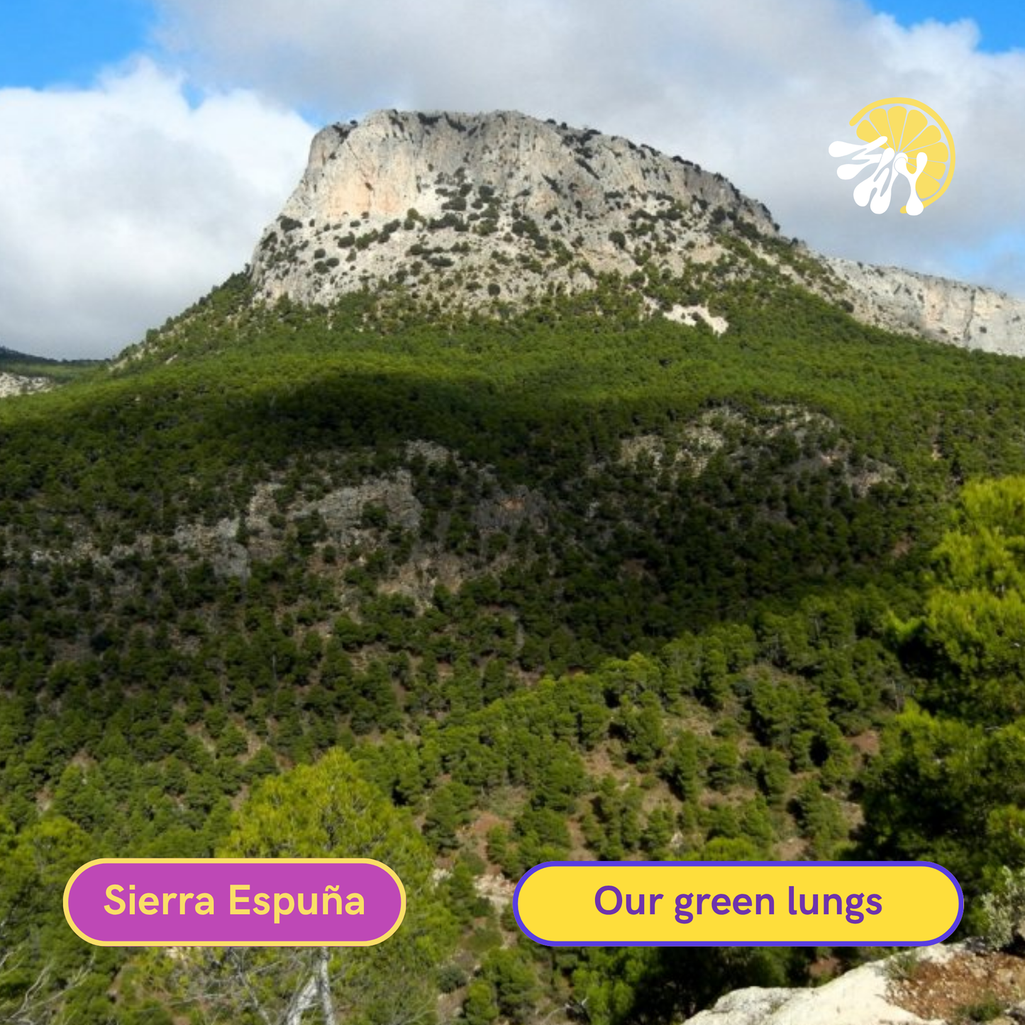 Design Your Private Adventure — Guided Experiences in Murcia