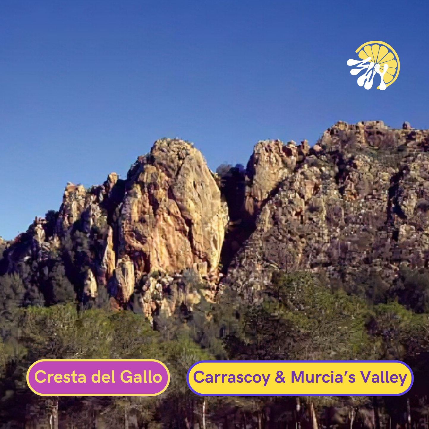 Design Your Private Adventure — Guided Experiences in Murcia