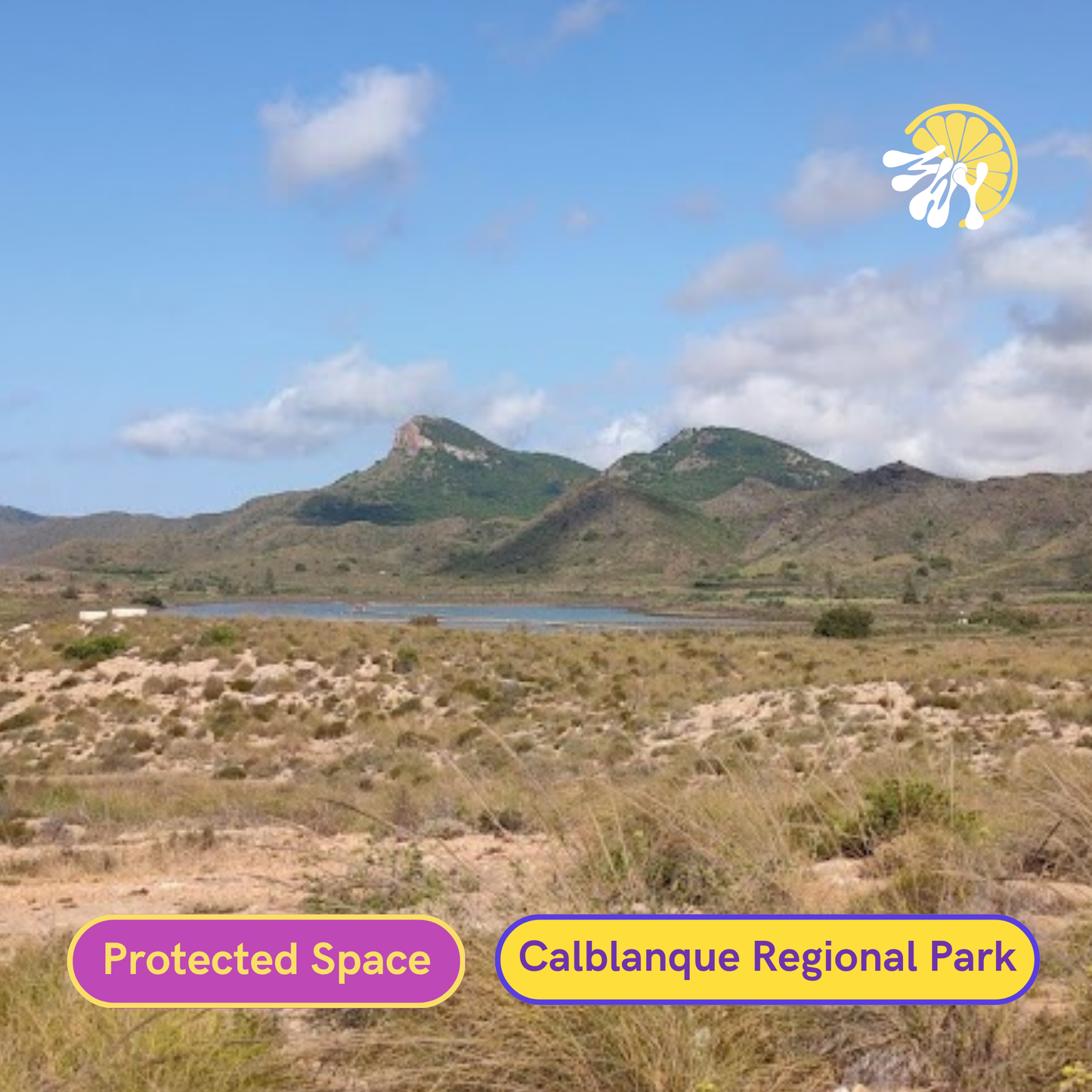 Design Your Private Adventure — Guided Experiences in Murcia
