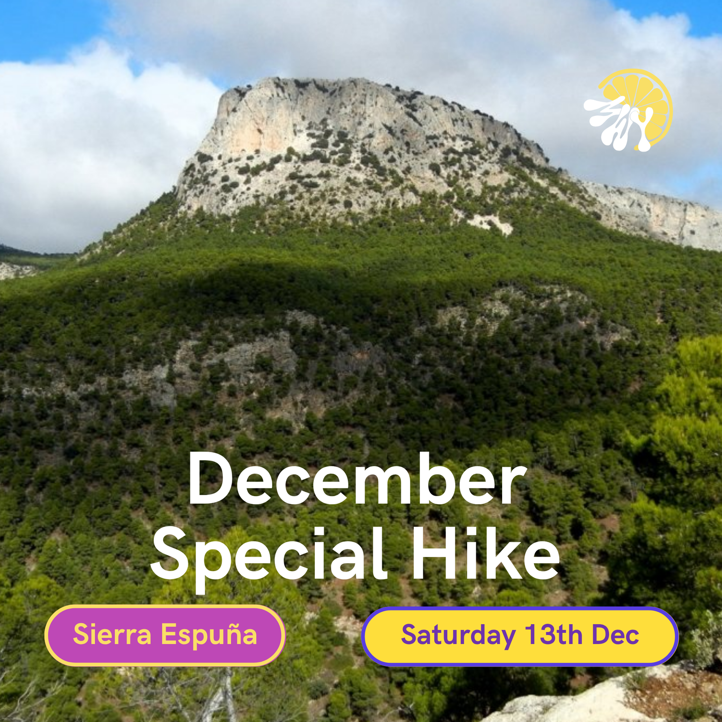 Decembers Special Hike