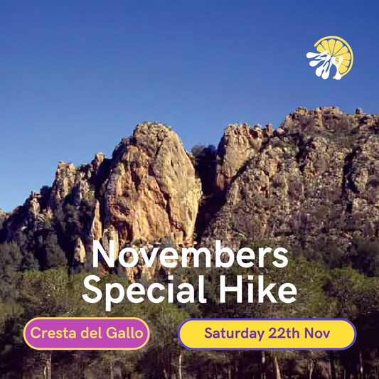 Novembers Special Hike