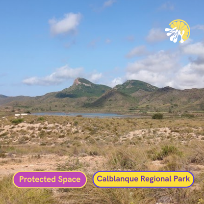 Design Your Private Adventure — Guided Experiences in Murcia