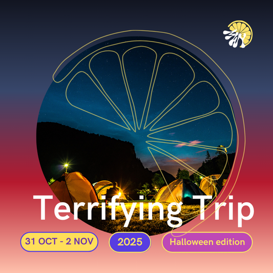 Terrifying Trip