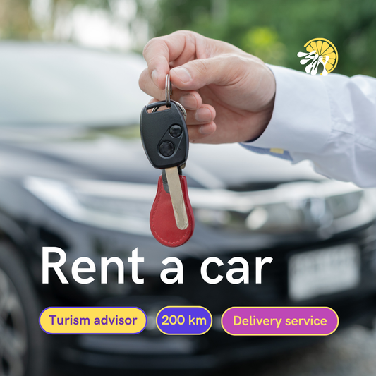 Car Rental